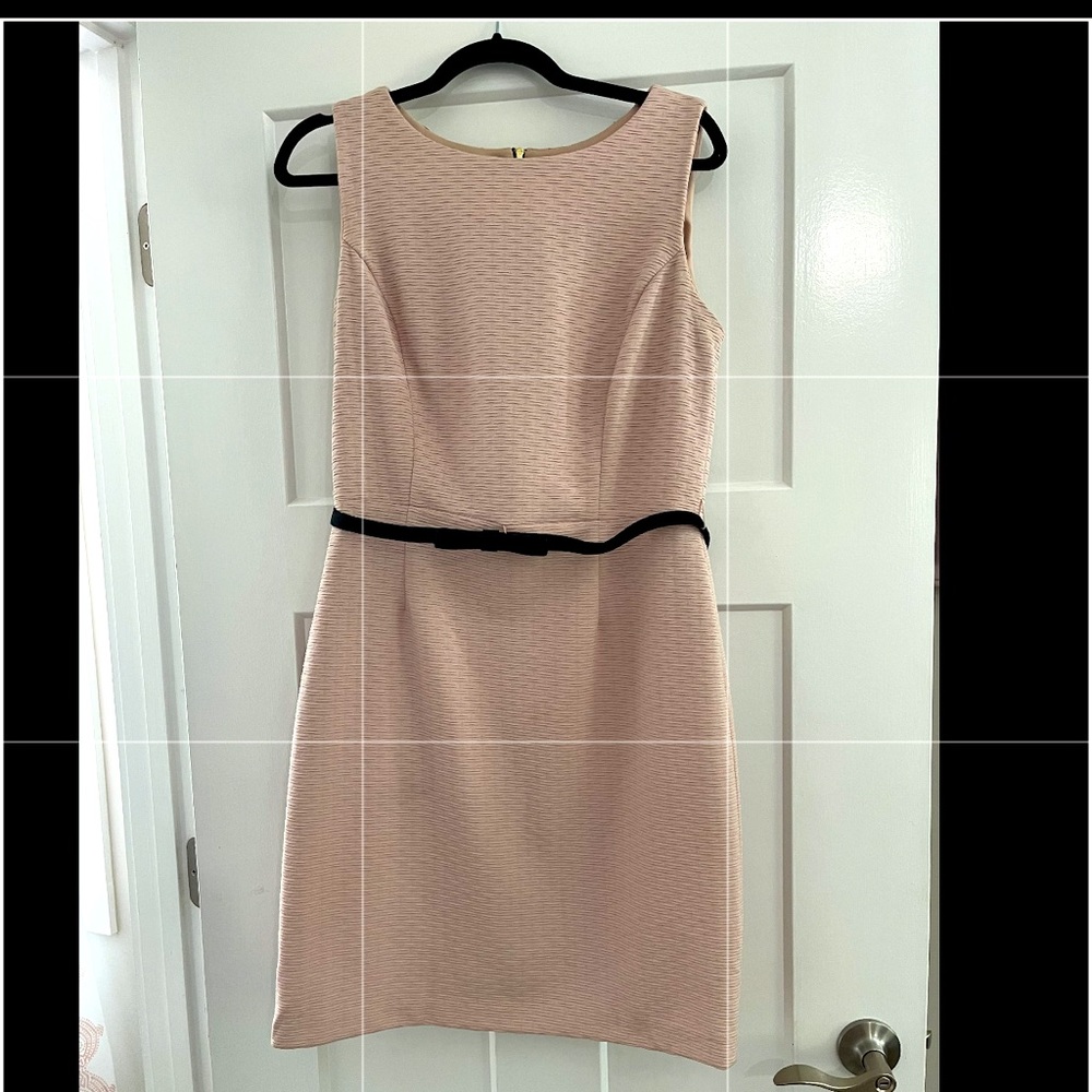 The Limited Sleek and sexy sleevless dress